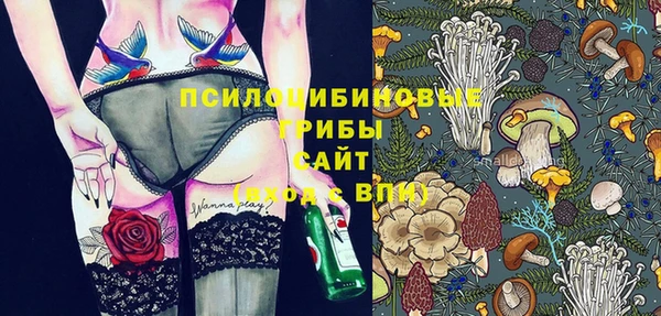 ГАЛЛЮЦИНОГЕННЫЕ ГРИБЫ Алзамай