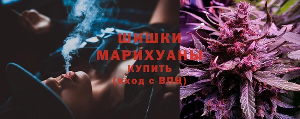 ГАЛЛЮЦИНОГЕННЫЕ ГРИБЫ Алзамай