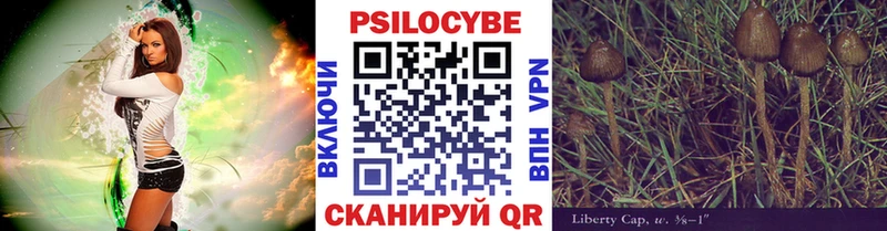 Галлюциногенные грибы MAGIC MUSHROOMS Камбарка
